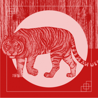 2022 Chinese Horoscope - Water Tiger